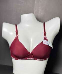 Comfortable Half Cup Udemy