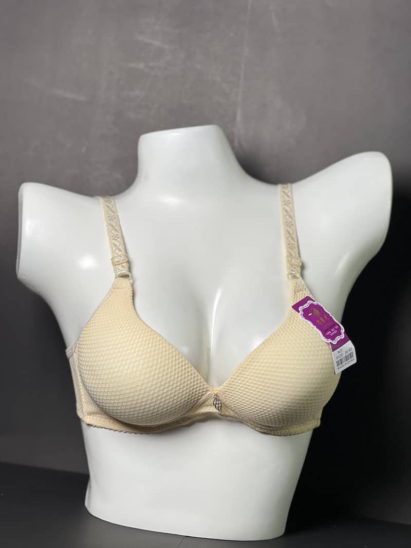 2025_04_08_11_30_IMG_0818