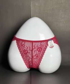 Desirable Full Net Panty