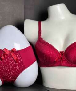 Ring Net Cover Bra Panty Set